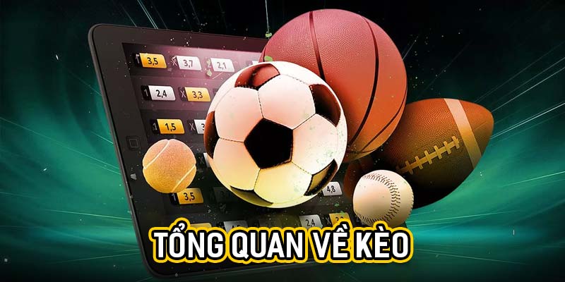 Tỷ lệ kèo số là gì?